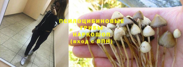 спиды Армянск