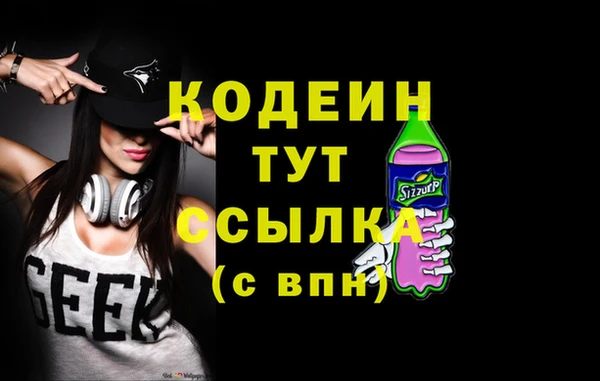 индика Дмитриев