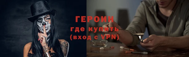 индика Дмитров