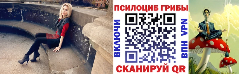 купить  сайты  Покровск  Галлюциногенные грибы GOLDEN TEACHER 