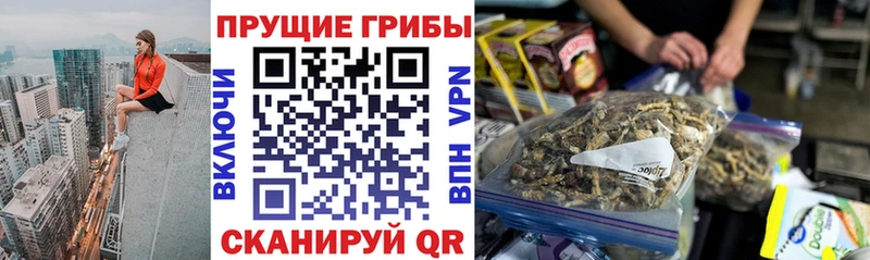 Псилоцибиновые грибы мицелий Покровск